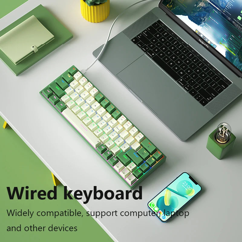 Wired Mechanical Keyboard and Mouses Ergonomics 68 Keys RGB Hotswap Type-C Gaming Keyboard PBT Keycaps Keyboards For PC Computer Laptop